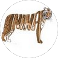Nina S. profile picture